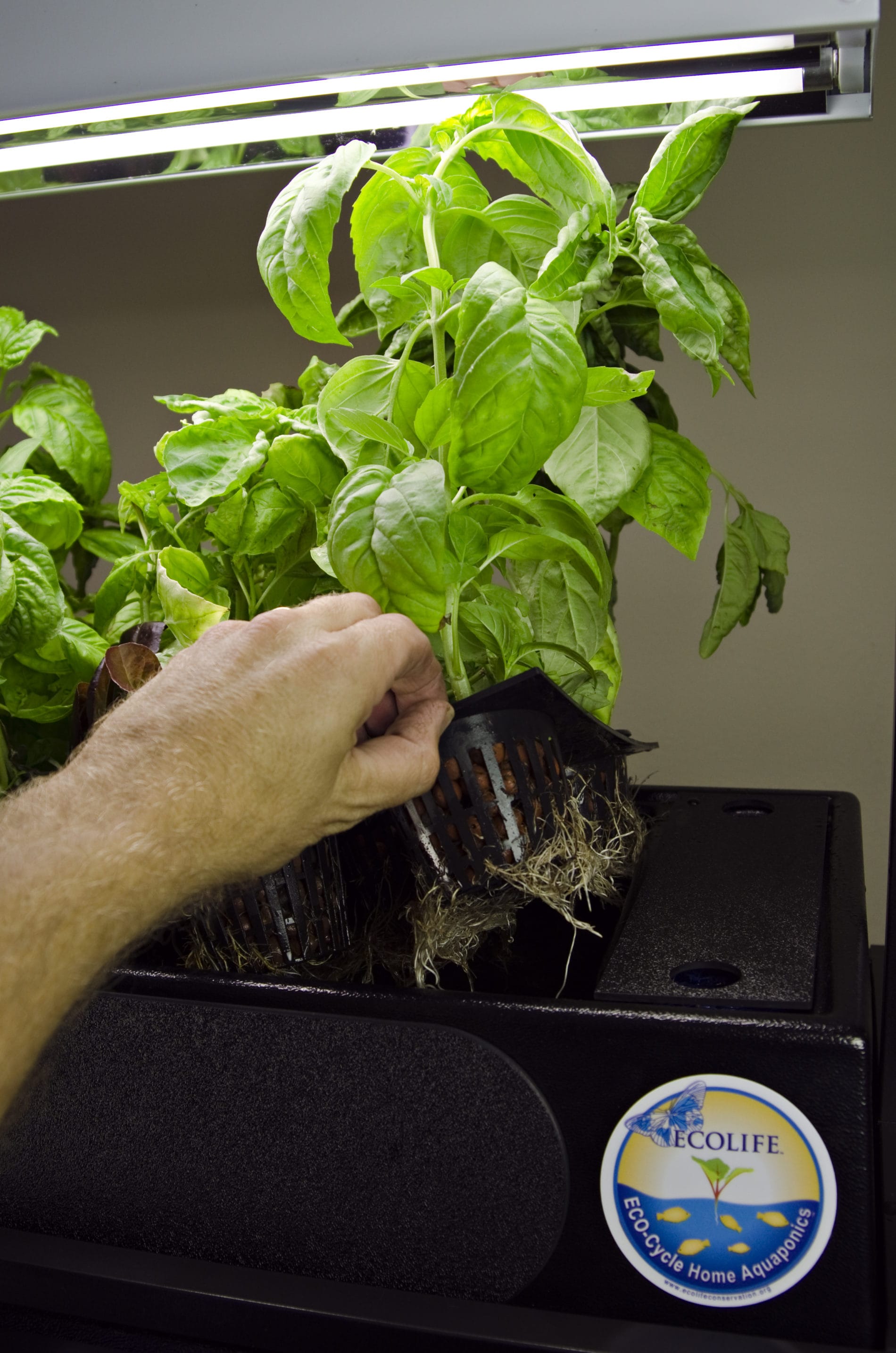 ECO-Cycle Aquaponics Kit | Sustainable Indoor Gardening