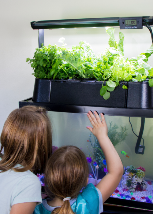 ECO-Cycle Aquaponics Kit | Sustainable Indoor Gardening