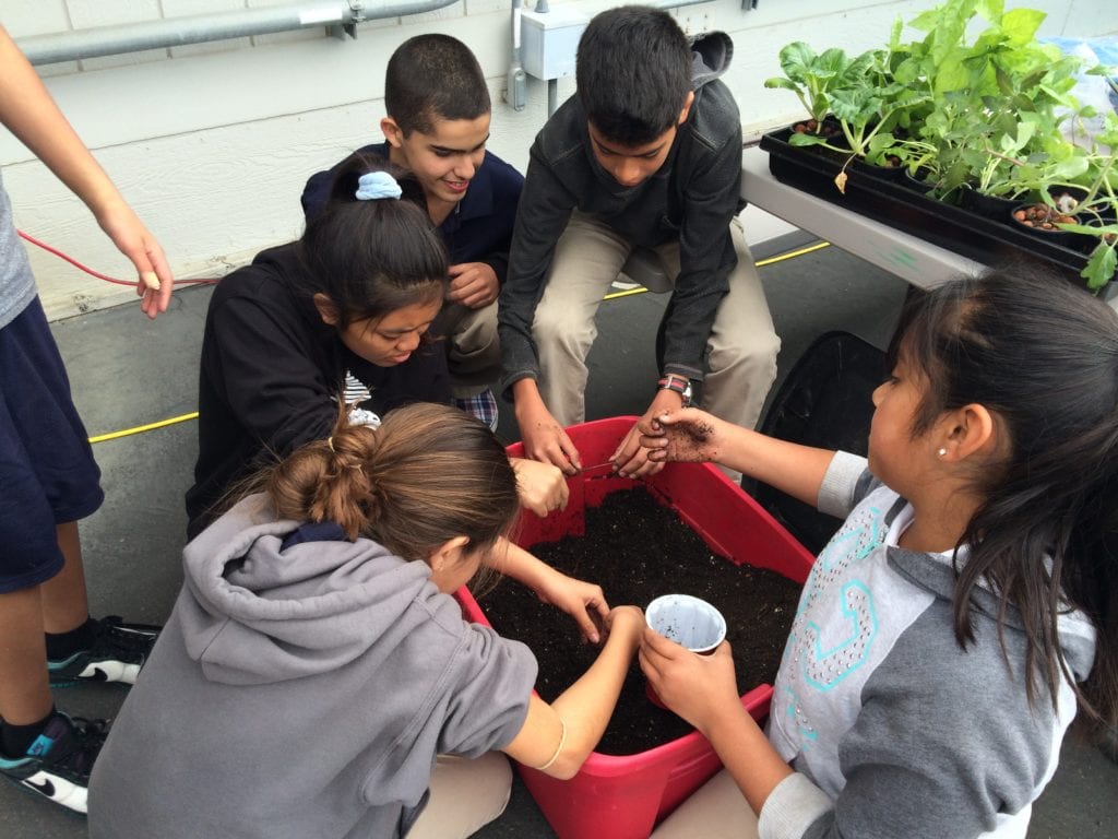 Students get ready to plant