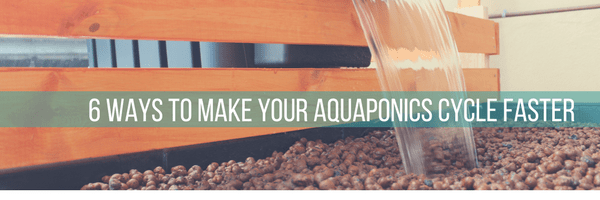 6 ways to make your aquaponics cycle faster