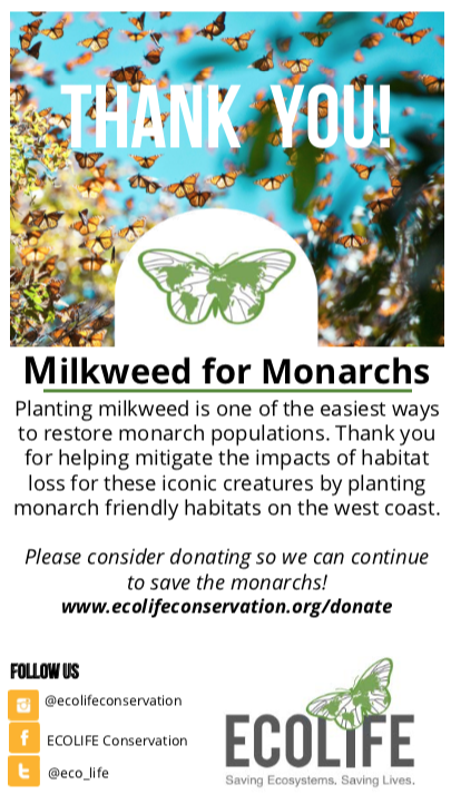 Milkweed for Monarchs