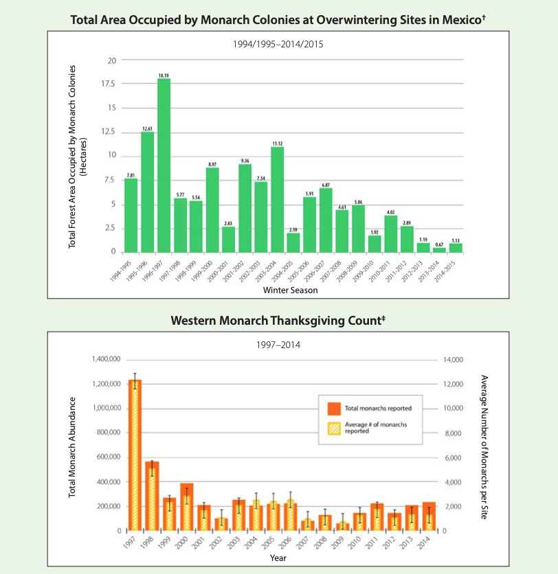 Monarch population decline graphic