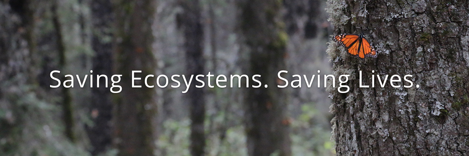 Saving Ecosystems. Saving Lives.