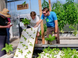 Aquaponics Innovation Center