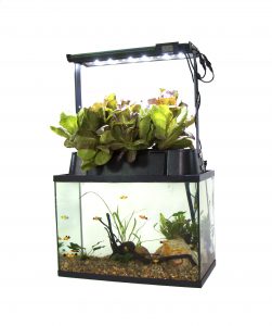 ECO-Cycle Aquaponics Kit