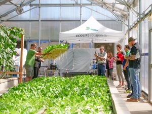 Aquaponics Innovation Center