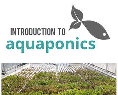 Introduction to Aquaponics thumbnail