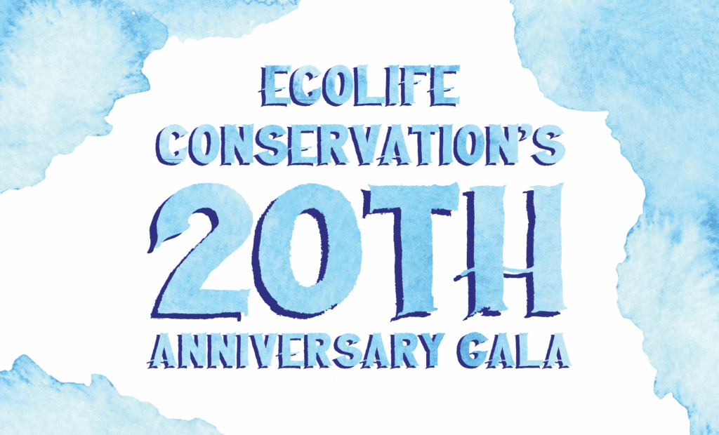 monarch butterfly conservation