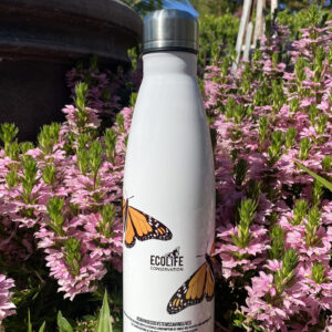 ECOLIFE Reusable Water Bottle